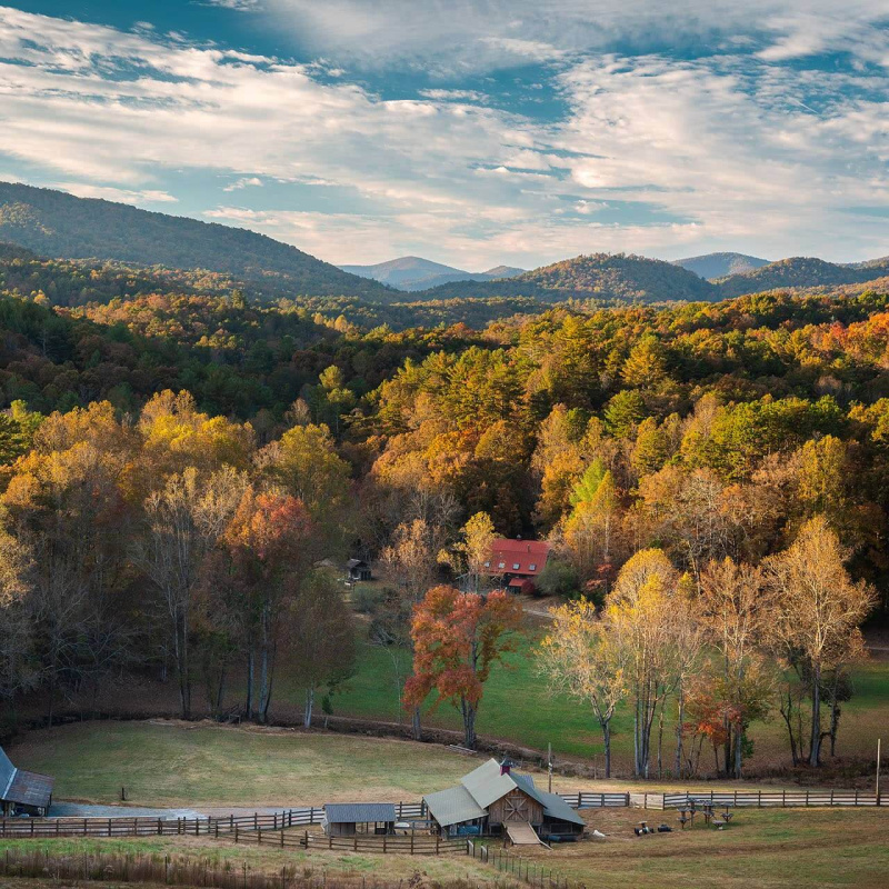 Roo Mountain Vineyards