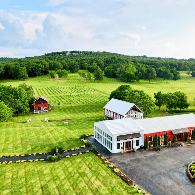 Sassafras Springs Vineyard