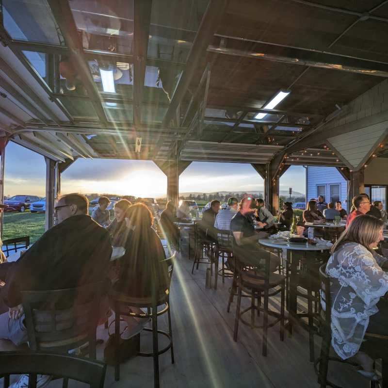 Setter Ridge Vineyards