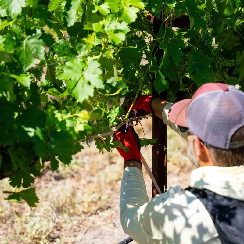 Southwest Wine Center
