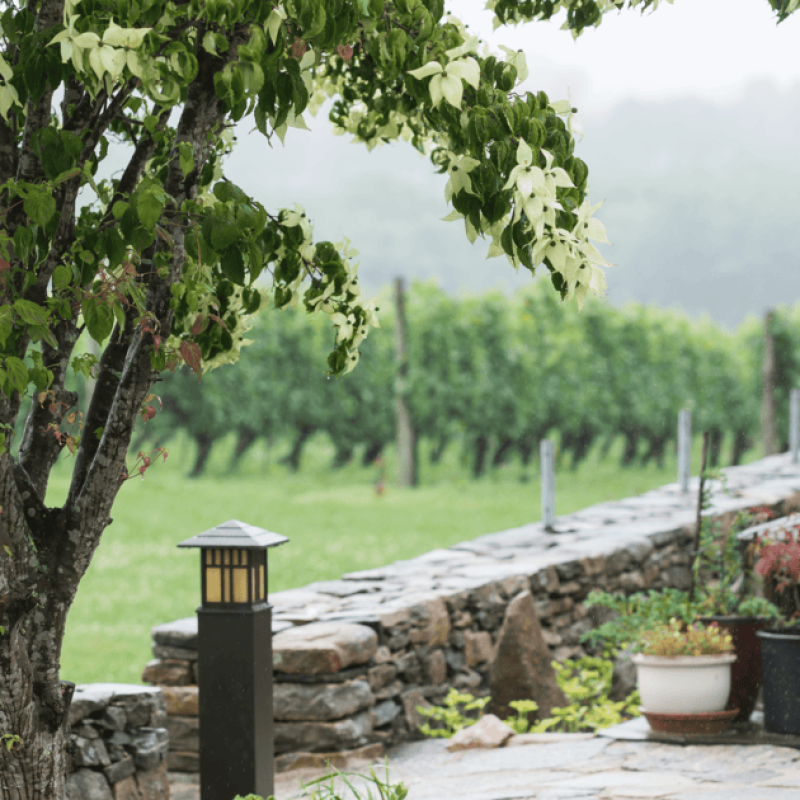 Stonington Vineyards