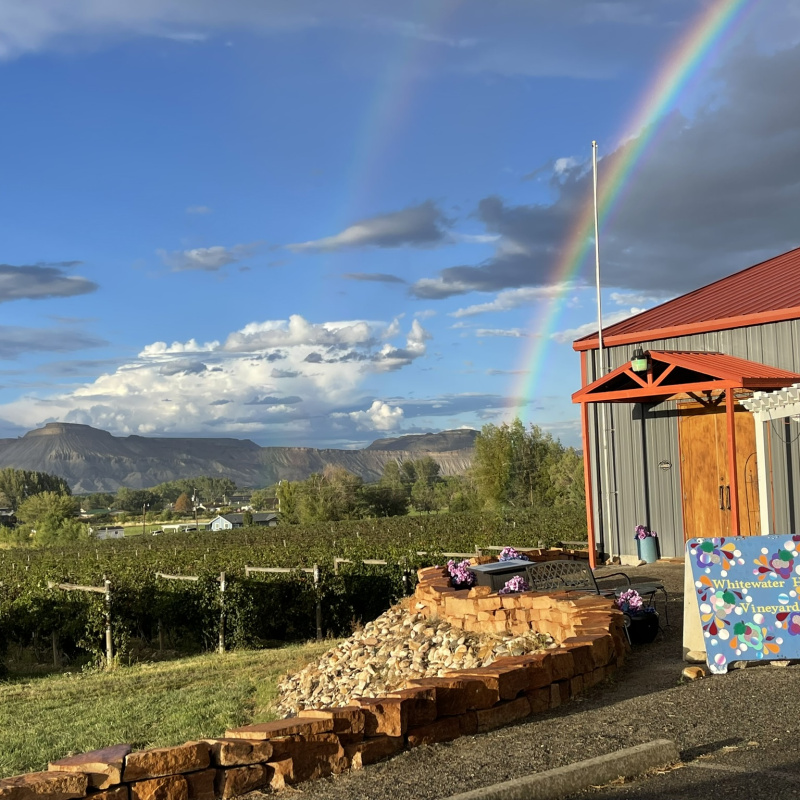 Whitewater Hill Vineyards