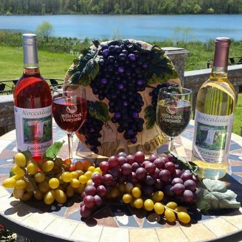Wills Creek Vineyards