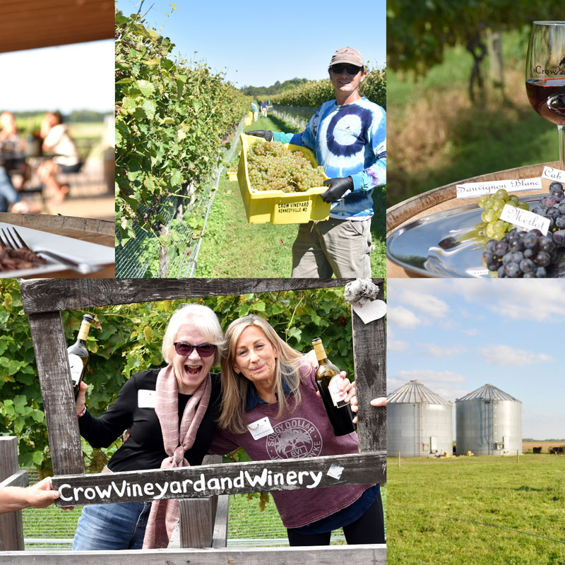 Crow Farm & Vineyard