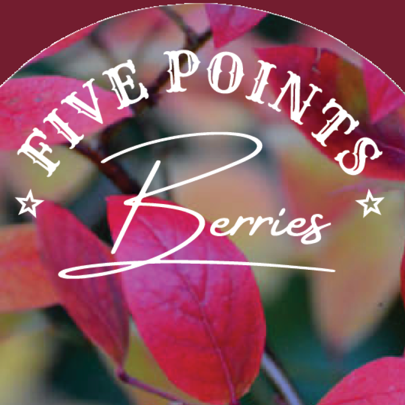 Five Points Berries Winery