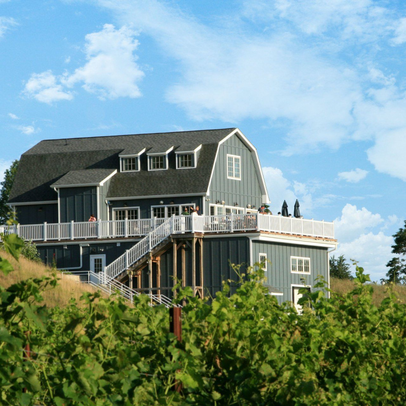 Preston Ridge Vineyard