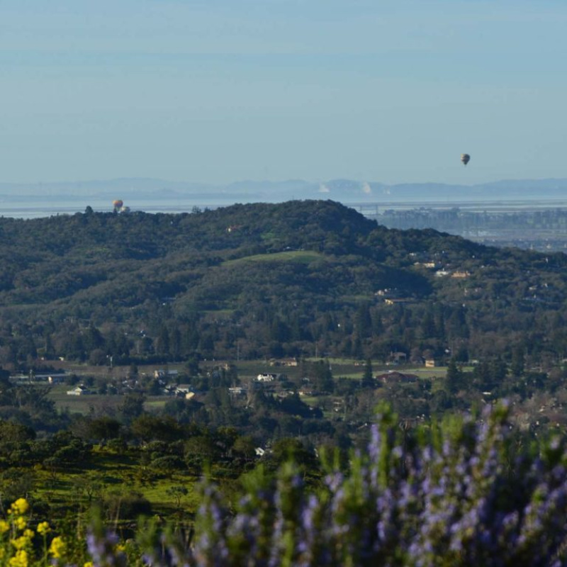 Aequitas Vineyards