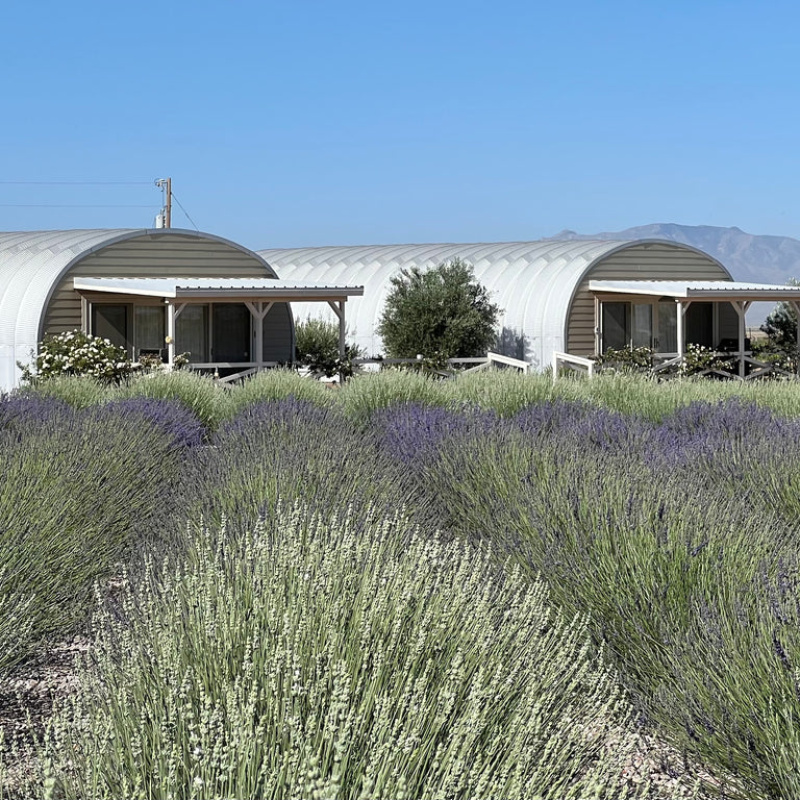 Rhumb Line Vineyard