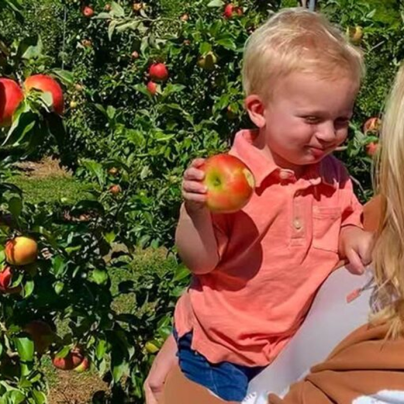 Weed Orchards and Winery